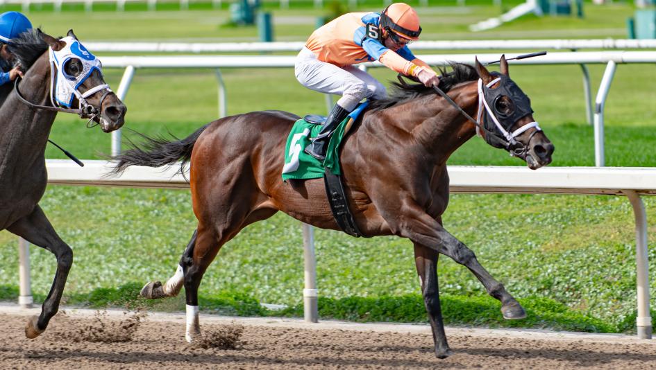 Ohio Derby Thistledown Henry Q Timesatappin Bishops Bay Brad Cox Two Phil’s Agnello’s Dream Last Cookie Lord Miles Hayes Strike Cristian Torres horse racing