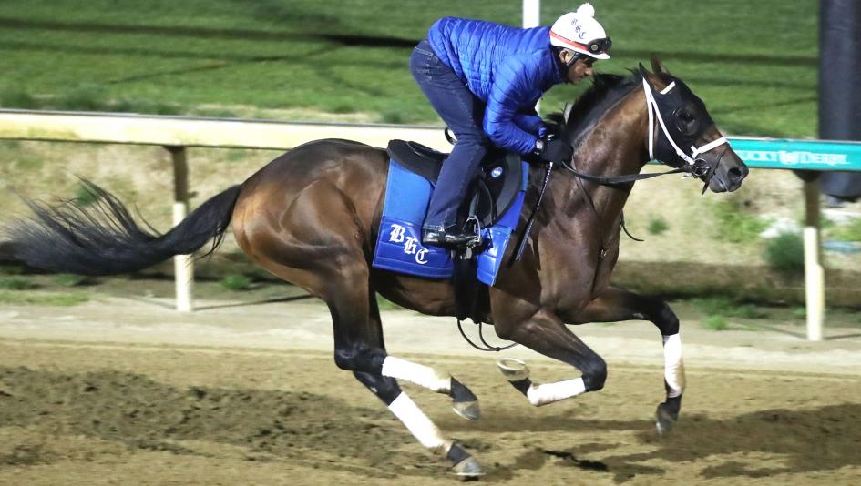 Preakness Stakes Pimlico handicapping betting analysis gambling jockey horse racing Kentucky Derby Mystik Dan Catching Freedom Muth Mugatu Imagination Uncle Heavy Seize the Grey Just Steel Tuscan Sky Equibase 