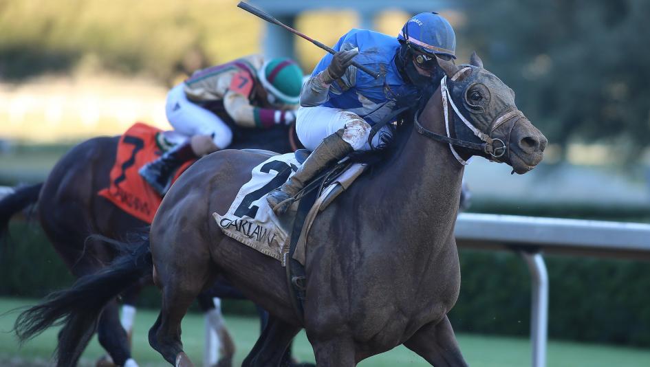 Torres Florent Geroux Brad Cox Constitution horse racing Thoroughbred colt pedigree