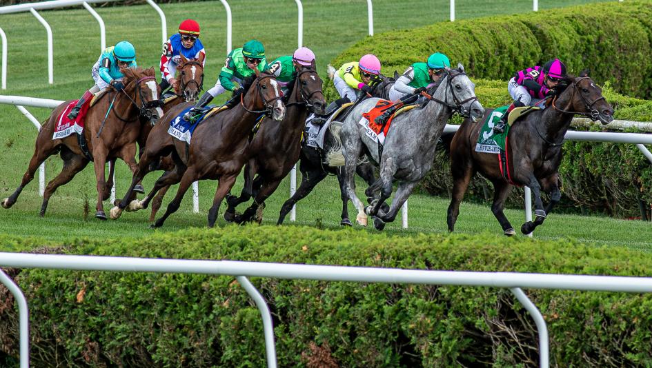 HISA Horseracing Integrity and Safety Authority equine safety veterinarians injury fatality accreditation crop jockey whip regulation federal racetrack Lisa Lazarus Welfare Unit horse racing