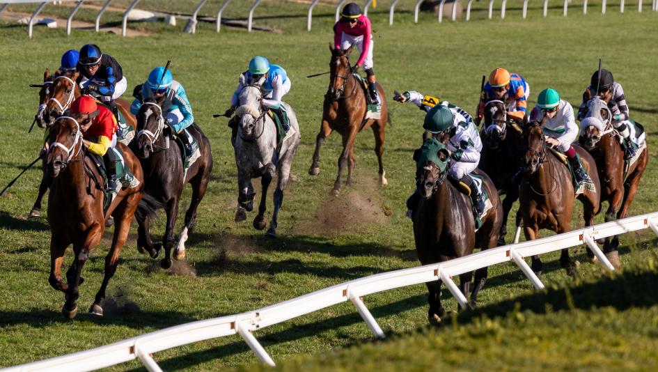 Equibase earnings horses jockeys trainers leaderboard Chop Chop Emery Chad Brown Steve Asmussen Brad Cox Flavien Prat Irad Ortiz Raven Run Dowager wins stakes horse racing
