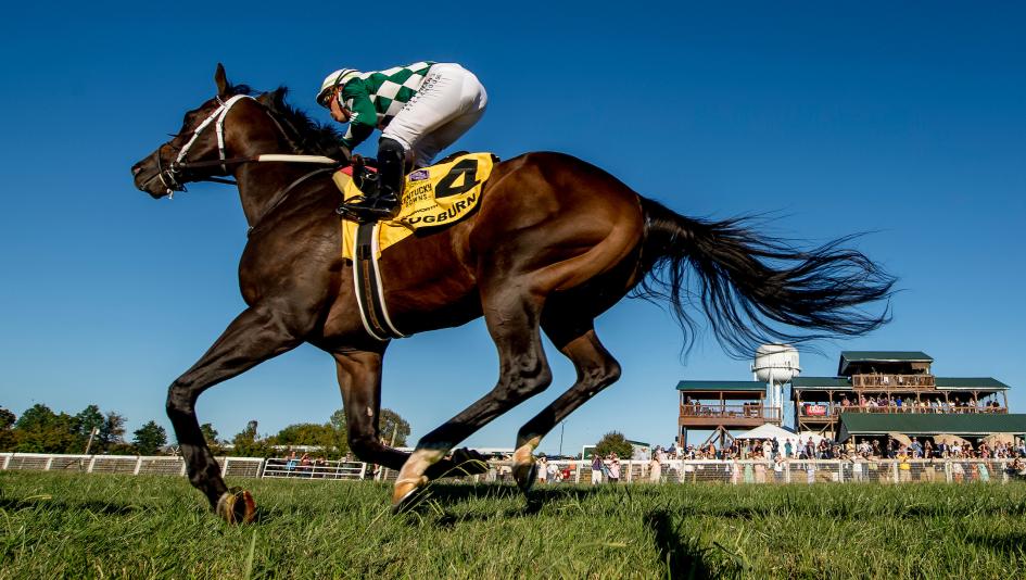 Cogburn, Ainsworth Turf Sprint Stakes, Kentucky Downs, Eclipse Sportswire, Breeders’ Cup Turf Sprint, Del Mar 
