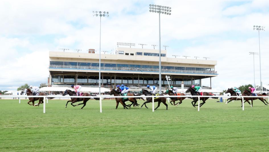 Colonial Downs Edward P. Evans Stakes turf horse racing Virginia gambling handicapping Gigante Steve Asmussen Alex Joon E. P. Milton Reconvene Virginia-bred 