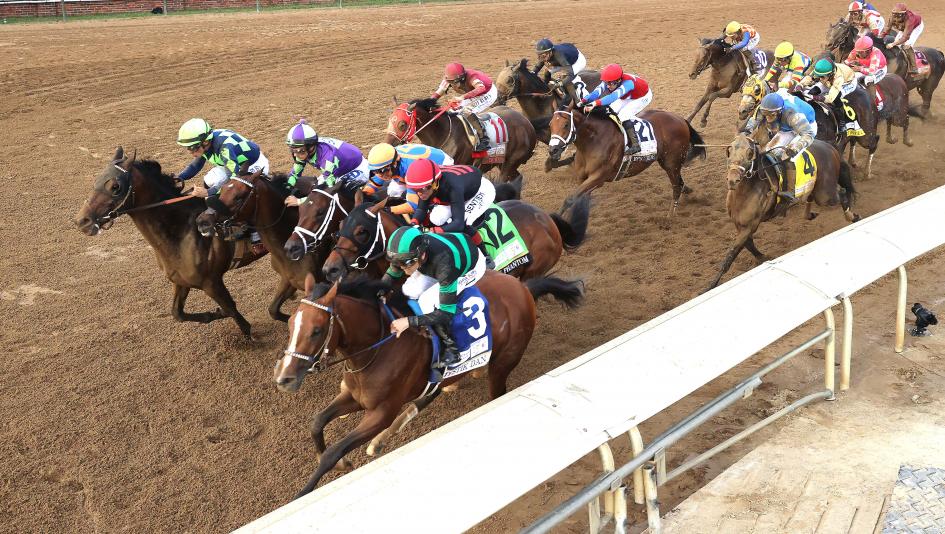 NTRA poll 3-year-old Kentucky Derby Preakness Belmont Triple Crown Mystik Dan Sierra Leone Muth Forever Young Catching Freedom Thorpedo Anna Nysos Fierceness Resilience Stronghold horse racing