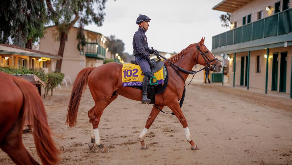 Japan Breeders’ Cup Del Mar trainer jockey world championships American Bikini Don Frankie Classic Awesome Result Distaff juvenile Sprint Ushba Tesoro Yutaka Take Forever Young Derma Sotogake Masatoshi Segawa Ecoro Seig Hideyuki Mori