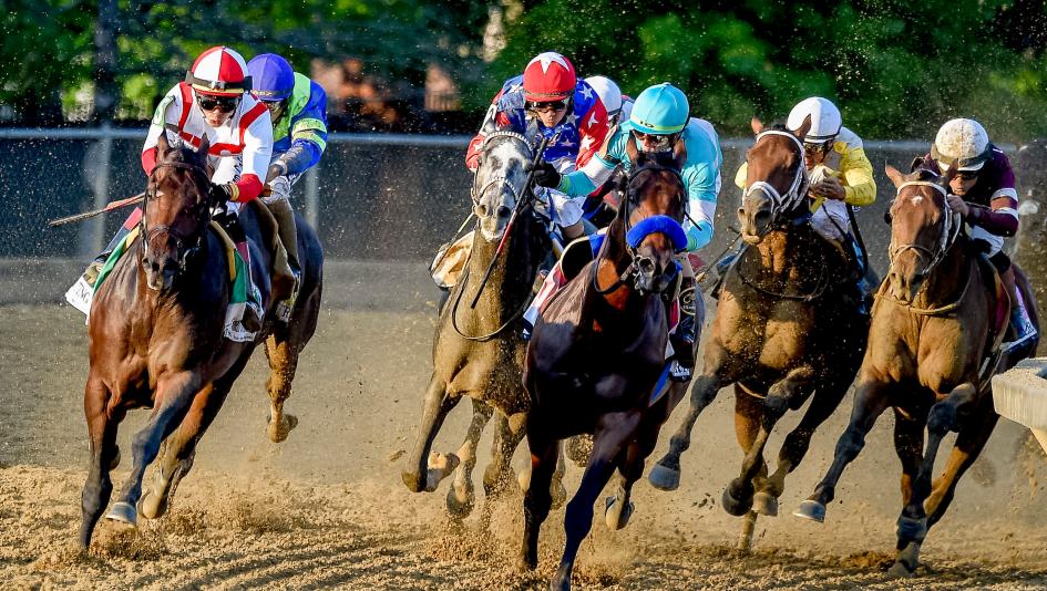 Preakness Stakes Pimlico gambling betting horse racing pace Early Voting War of Will Justify American Pharoah Rombauer Cloud Computing Swiss Skydiver post position longshot odds Oxbow I’ll Have Another Afleet Alex Curlin Triple Crown