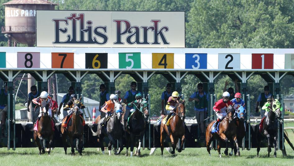 Horse racing radio television FanDuel TV America’s Day at the Races Fox Sports FS2 Stephen Foster Stakes Ellis Park Breeders’ Cup Woodbine Belmont Park Gulfstream Park