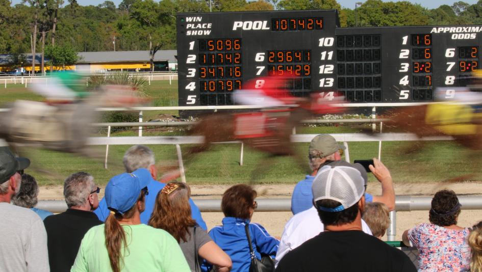 Radio TV television guide horse racing Tampa Bay Derby Tampa Bay Downs Gulfstream Park Turfway Park Aqueduct Oaklawn Park Santa Anita Park RTN FanDuel TV Fox Sports FS2 America’s Day at the Races NYRA HRRN Byk
