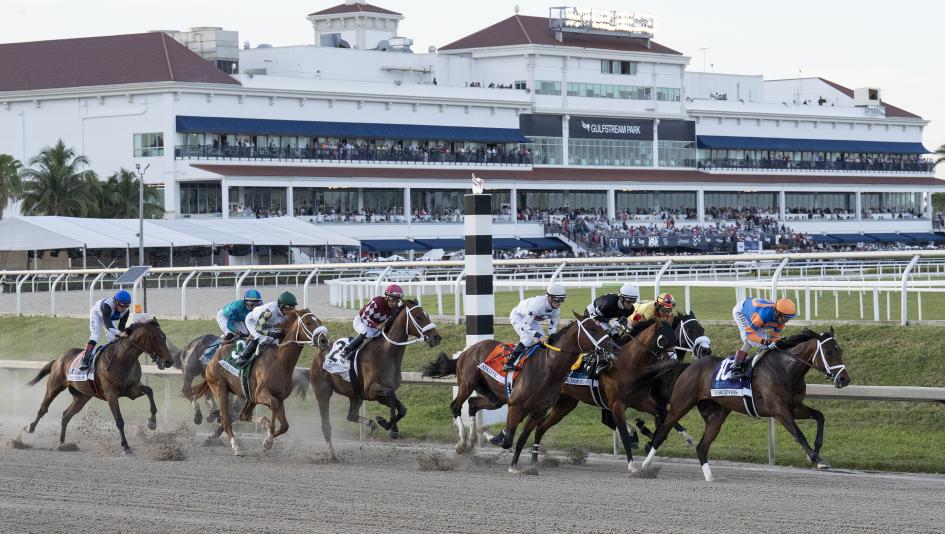 Derby Dozen Byron King BloodHorse Kentucky Derby Domestic Product Fierceness Dornoch Sierra Leone Forever Young Catching Freedom Mystik Dan Deterministic Honor Marie Just Steel Tuscan Sky Baffert Muth