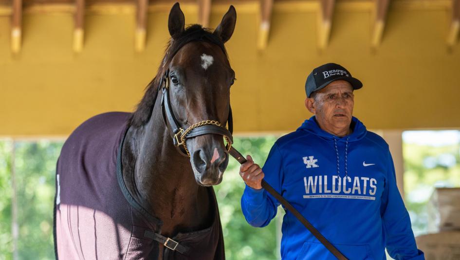 Top Ten Poll 3-Year-Old Thoroughbred Forte Mage National Treasure Two Phil’s Angel of Empire Blazing Sevens Tapit Trice Practical Move Arabian Lion Hit Show Belmont Stakes horse racing