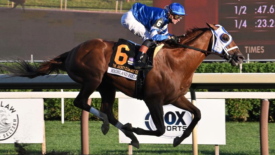 Breeders’ Cup Classic rankings top 10 Fierceness City of Troy Forever Young Sierra Leone Dornoch Highland Falls Arthur’s Ride Ushba Tesoro Derma Sotogake Senor Buscador Jockey Club Gold Cup 