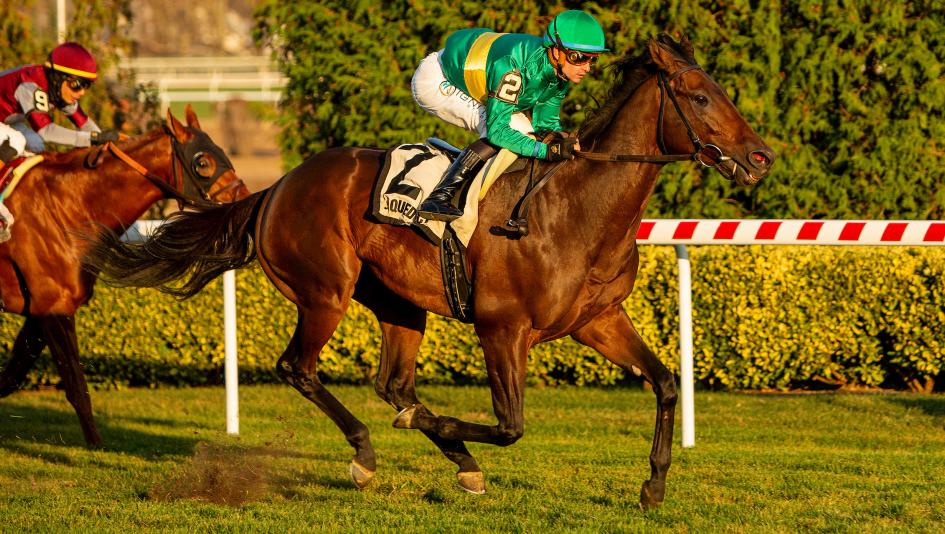 Equibase earnings standings rankings leaders racehorse trainer jockey horse racing Flavien Prat Shug McGaughey Integration Irad Ortiz Steve Asmussen Brad Cox Chad Brown Deterministic Battle of Normandy
