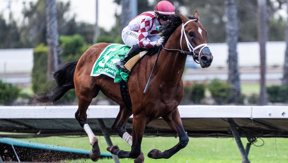 Journalism Los Alamitos Futurity Kentucky Derby Umberto Rispoli Michael McCarthy racehorse trainer jockey Triple Crown LaPenta Don Alberto Eclipse Thoroughbred Partners Bridlewood Farm Elayne Stables owner speed figure pedigree Curlin Mopotism