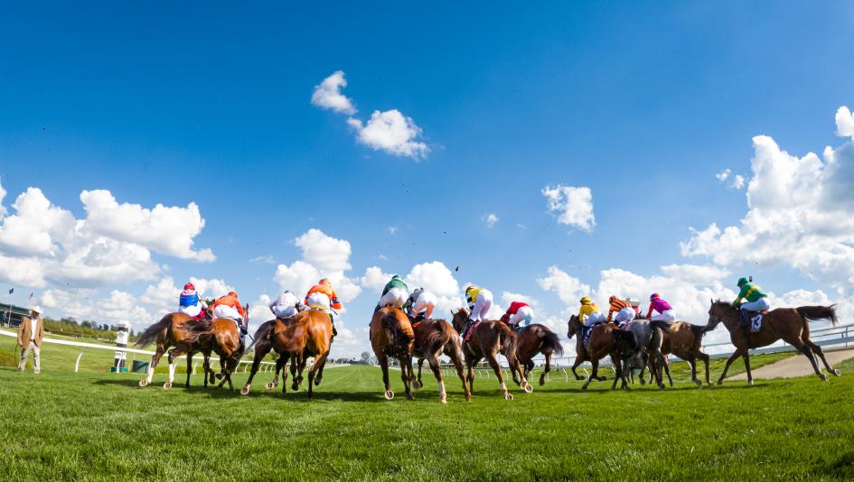 Horse racing TV television radio livestream Middleburg Spring Races Keeneland Aqueduct Santa Anita Park Gulfstream Park Tampa Bay Downs Oaklawn Park steeplechase