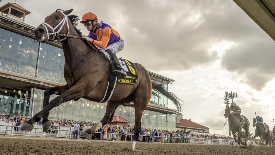 Derby Dozen, Kentucky Derby, Forte, Tapit Trice, Practical Move, Reincarnate, National Treasure, Kingsbarns, Two Phil’s, Confidence Game, Angel of Empire, Verifying, Rocket Can, Geaux Rocket Ride