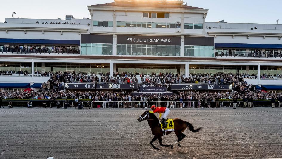 Pegasus World Cup Invitational Gulfstream Park handicapping horseplayers Pegasus World Cup Betting Championship bankroll gambling tournament entries contest purse prize money NHC Eddie Olczyk 1/ST high roller buy in horse racing