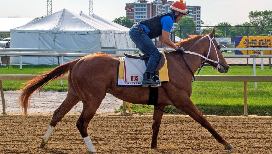 Preakness Stakes Cheat Sheet Pimlico Triple Crown horse racing Mage Blazing Sevens Chase the Chaos Coffeewithchris First Mission National Treasure Perform Red Route One 1/ST BET