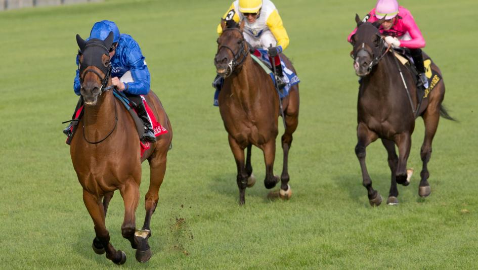 Breeders’ Cup Win and You’re In Challenge Series Woodbine Mile Summer Stakes Natalma Stakes Pocahontas Stakes Iroquois Stakes Locust Grove Stakes Churchill Downs turf horse racing prep Godolphin Cherie DeVaux Naval Power Charles Appleby William Buick