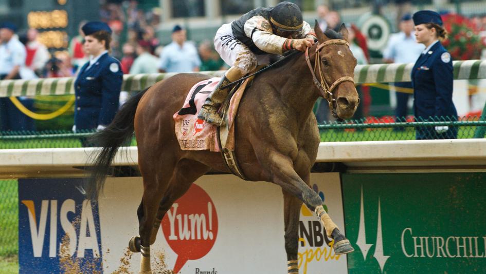 Mine That Bird Kentucky Derby Museum Mark Allen upset longshot legends Thoroughbred racing bourbon Minnick tourism Maker’s Mark