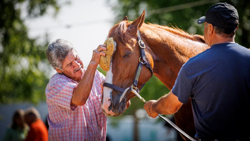 Mage Preakness Kentucky Derby Pimlico Ramiro Restrepo owner Gustavo Delgado Triple Crown horse racing training Miami Fasig-Tipton diary