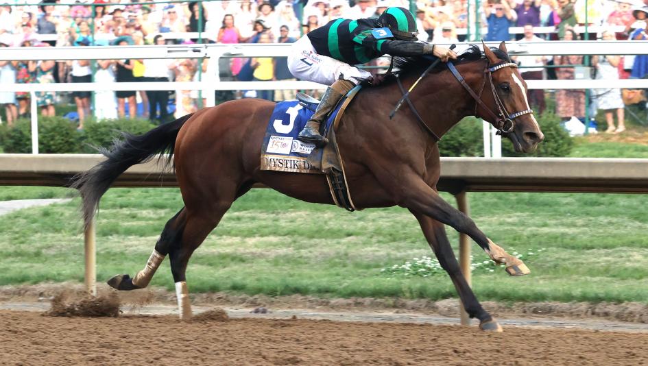 Mystik Dan Kentucky Derby Triple Crown pedigree Ken McPeek owner trainer jockey Brian Hernandez Gasaway 4 G Racing Valley View Farm Hamby Preakness Belmont horse racing Goldencents Into Mischief Southwest Stakes Arkansas Derby