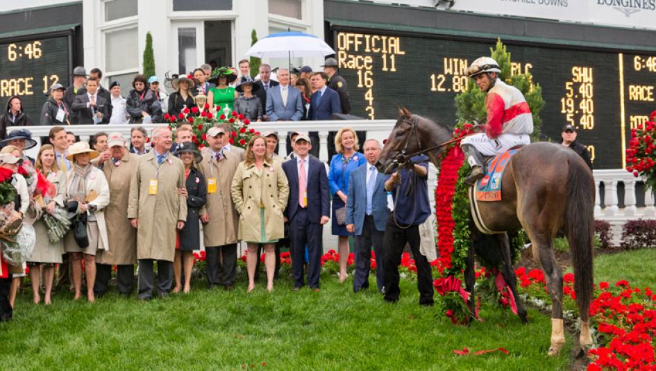 Orb wears the 2013 Kentucky Derby rose garland.