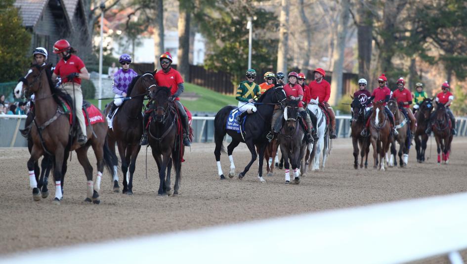 Derby Dozen Kentucky Derby Byron King BloodHorse Dornoch Fierceness Sierra Leone Forever Young Timberlake Track Phantom Catching Freedom Mystik Dan Conquest Warrior Hades Honor Marie Deterministic