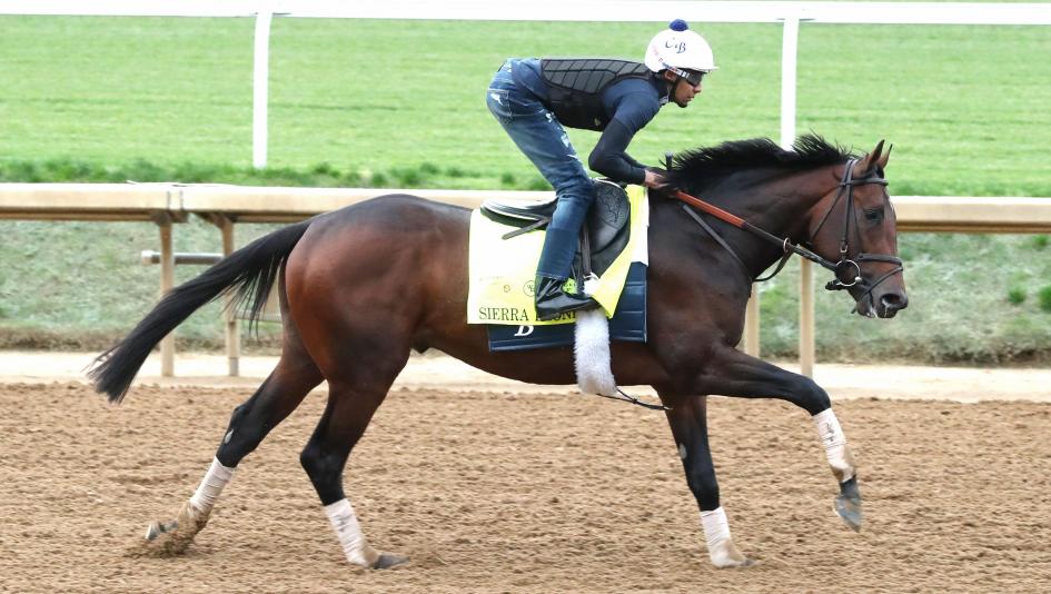 Kentucky Derby betting gambling handicapping Equibase speed figure Sierra Leone Just Steel Fierceness Resilience Endlessly Encino Dornoch Track Phantom T O Password Just a Touch West Saratoga Forever Young Just a Touch horse racing pace trainer jockey 