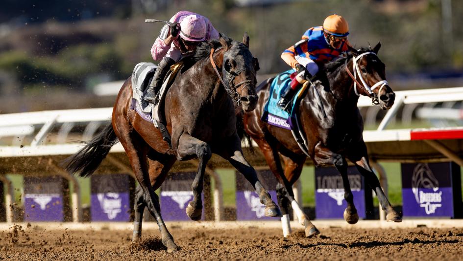 Eclipse Award 3-year-old champion horse racing Fierceness Sierra Leone Seize the Grey Mystik Dan Dornoch Kentucky Derby Belmont Stakes Preakness Jim Dandy Travers Breeders’ Cup Classic Haskell Triple Crown Blue Grass Jim Dandy 