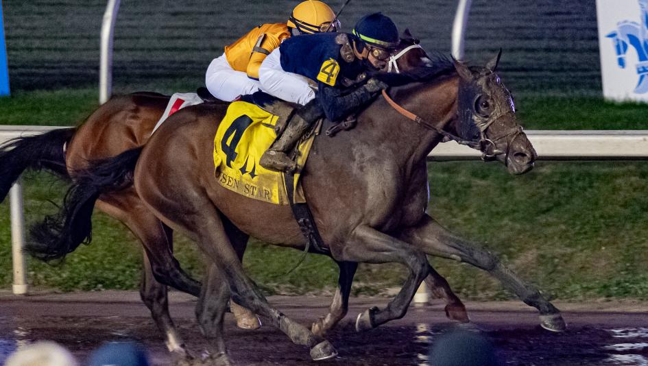 Sierra Leone Risen Star Stakes Kentucky Derby Chad Brown Tyler Gaffalione Peter Brant Susan Magnier Westerberg Derrick Smith Michael Tabor Brook Smith Coolmore Rocket Ship Gun Runner sire Heavenly Love horse racing