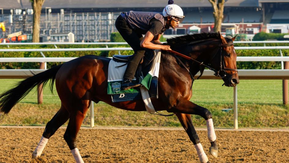Belmont Stakes Saratoga horse racing Triple Crown Mystik Dan McPeek Chad Brown Sierra Leone Honor Marie Mindframe Resilience superfecta betting gambling turf writer Seize the Grey Kentucky Derby Preakness