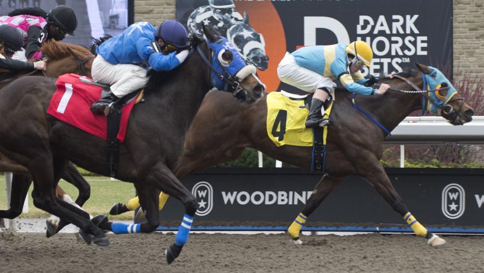 Amanda Vandermeersch Silver Tunes Woodbine