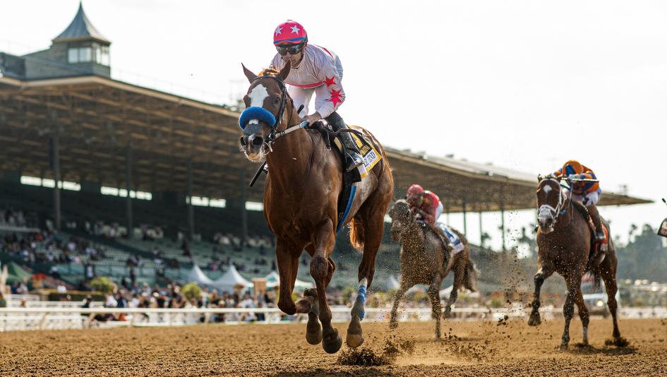 Bing Crosby Stakes, Del Mar, Spirit of Makena, Hoist the Gold, Todo Fino, The Chosen Vron, Kid Corleone, Get Her Number, Anarchist, C Z Rocket, Sibelius, American Theorem, Dr. Schivel, Peaceful Waters, Breeders’ Cup Sprint, Win and You’re In