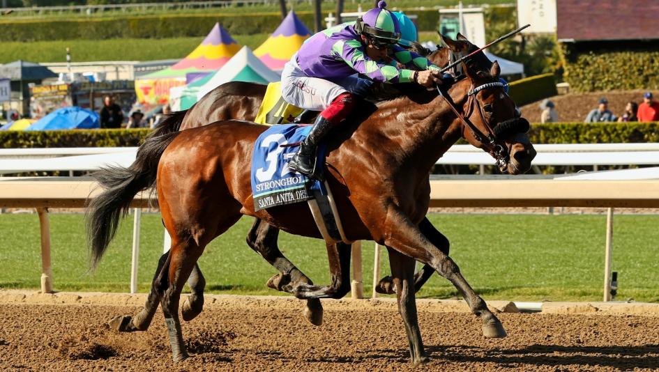 Stronghold Kentucky Derby Santa Anita Derby Phil D’Amato Antonio Fresu jockey trainer Thoroughbred horse racing Ghostzapper Rick Waller Sharon Sunland Park Derby prospect pedigree speed figure