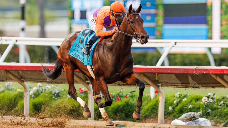 Tamara Breeders’ Cup Juvenile Fillies Santa Anita Richard Mandella Mike Smith Spendthrift Farm B. Wayne Hughes filly dam Beholder champion Bolt d’Oro Eclipse Award breeding horse racing