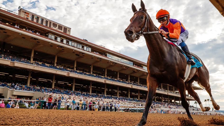Tamara Del Mar Debutante Breeders’ Cup Juvenile Fillies Spendthrift Farm Beholder Richard Mandella Mike Smith 