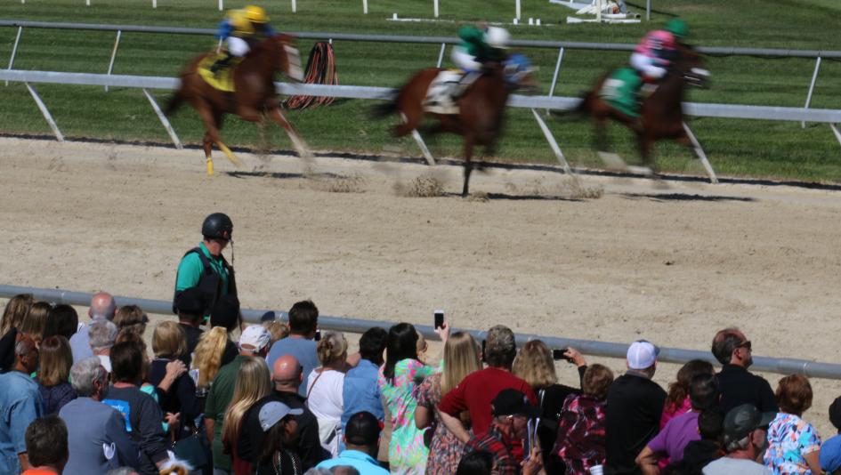 Radio TV television broadcast horse racing Tampa Bay Downs Sam F. Davis Stakes El Camino Real Derby Gulfstream Park Turfway Park Fair Grounds Aqueduct Oaklawn Park FS2 Fox Sports America’s Day at the Races NYRA FanDuel TV RTN Byk HRRN 
