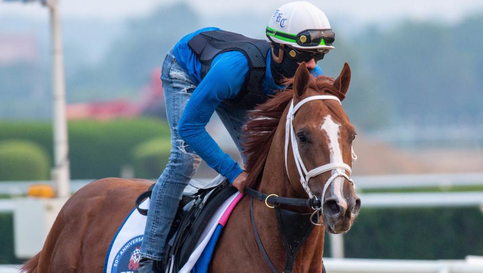 Belmont Stakes Triple Crown Belmont Park handicapping upset horse racing Tapit Shoes Brad Cox Tapit Trice Angel of Empire Todd Pletcher Forte Red Route One National Treasure Arcangelo Hit Show Il Miracolo