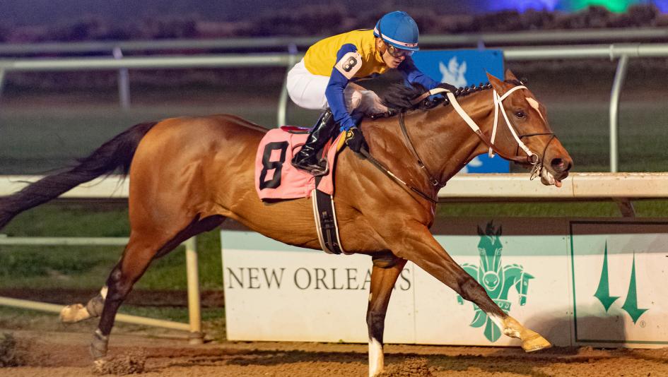 Track Phantom, 2024 Kentucky Derby, Gun Runner Stakes