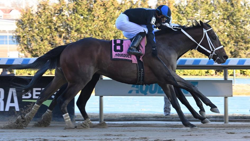 Withers Stakes Aqueduct Uncle Heavy Butch Reid Michael Milam Mychel Sanchez El Grande O Linda Rice Lightline Kentucky Derby horse racing
