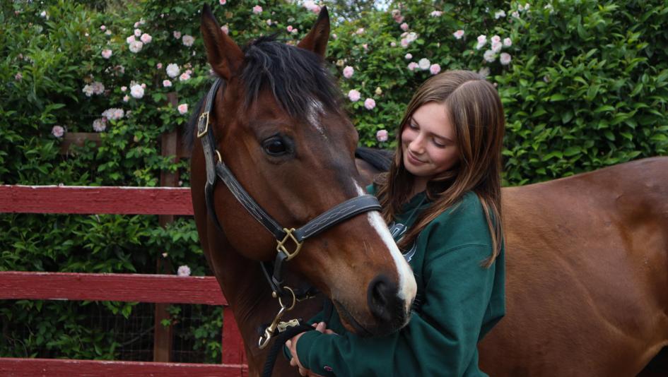 Thoroughbred Aftercare Alliance, Win Place Home, Scouted, Olivia Holland, BoJack