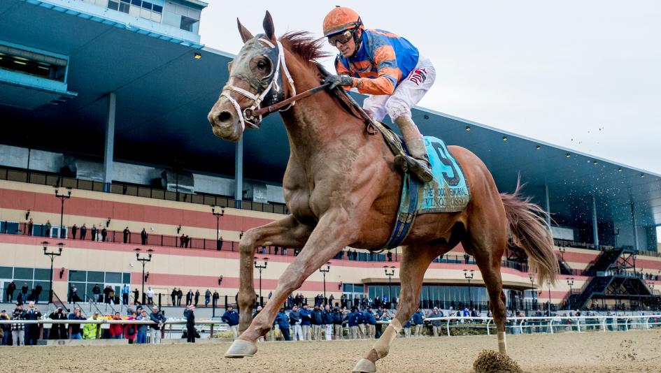 Wood Memorial Stakes, Aqueduct, Triple Crown, Kentucky Derby, Todd Pletcher, Seattle Slew, Mo Donegal, horse racing, Foolish Pleasure, Easy Goer, Damascus, Bold Ruler