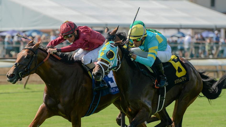 Keeneland Queen Elizabeth II Challenge Cup Stakes Pin Up Betty Luis Saez Caitlinhergrtness She Feels Pretty Waves of Mischief Soprano Oversubscribed Buchu Pounce Grayosh Candala speed figure Equibase betting gambling handicapping fillies
