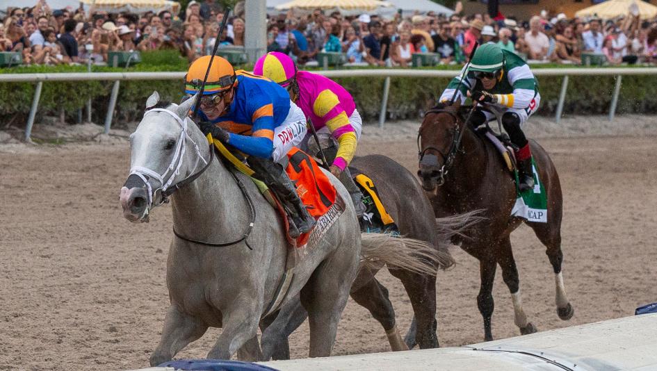 Florida Derby Gulfstream Park handicapping history tips trends betting Todd Pletcher trainer John Velazquez jockey Fierceness Conquest Warrior Hades Bail Us Out Irad Ortiz favorites longshots pace odds prep data horse racing 