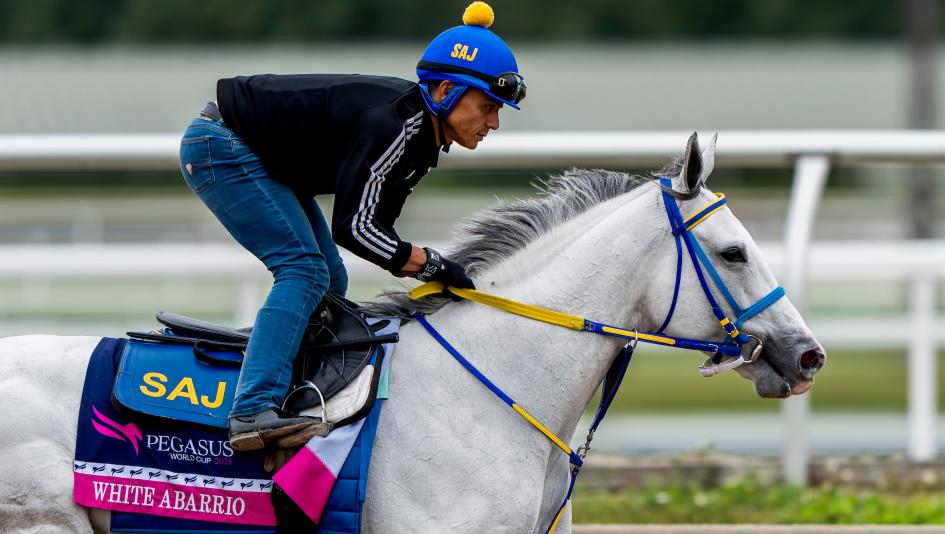 Racehorse, gray or roan, horse racing, White Abarrio, Next, Muhimma, Hit Show, Speed King, Sandman, Kentucky Derby, Pegasus World Cup, Gulfstream Park, Tapit, coat, color, fans, popular, appearance, Southwest Stakes