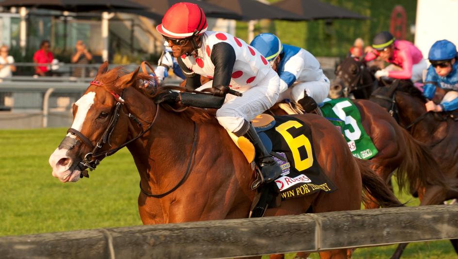 Win for the Money Woodbine Mile Breeders’ Cup Patrick Husbands Live Oak Plantation Mark Casse speed figures jockey owner trainer turf horse racing 