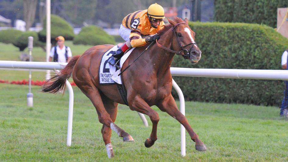 Breeders’ Cup Fourstardave Beverly D. Colonial Saratoga Wise Dan Casa Creed Inspiral Fev Rover Sistercharlie Jacques Le Marois Goldikova Deauville Arlington Million Bricks and Mortar Win and You’re In