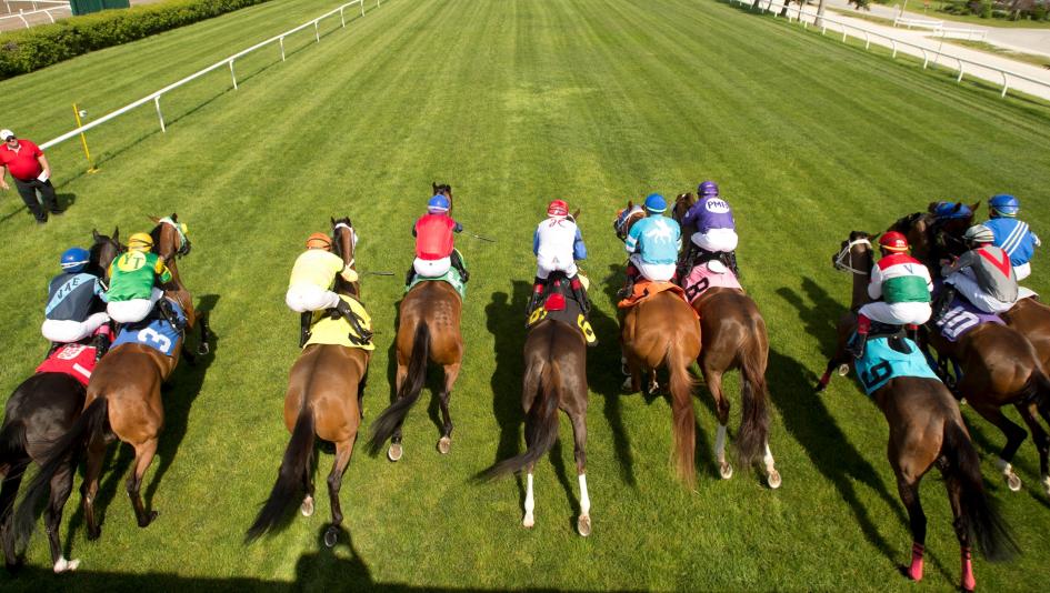 E. P. Taylor Stakes Woodbine Aspen Grove Stack Sisterson Belmont Oaks turf With the Moonlight Godolphin Appleby Glen Hill betting handicapping longshot Moira