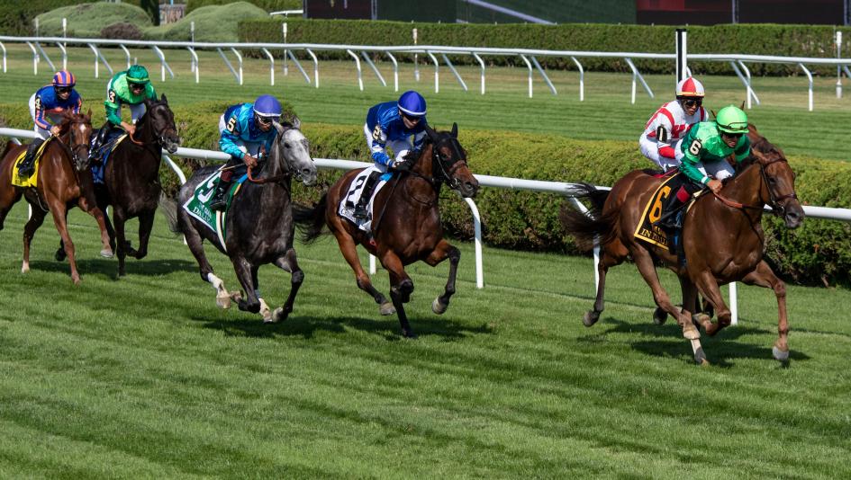 In Italian, Saratoga Race Couse, Chad Brown, 2023 Grade 1 Diana Stakes
