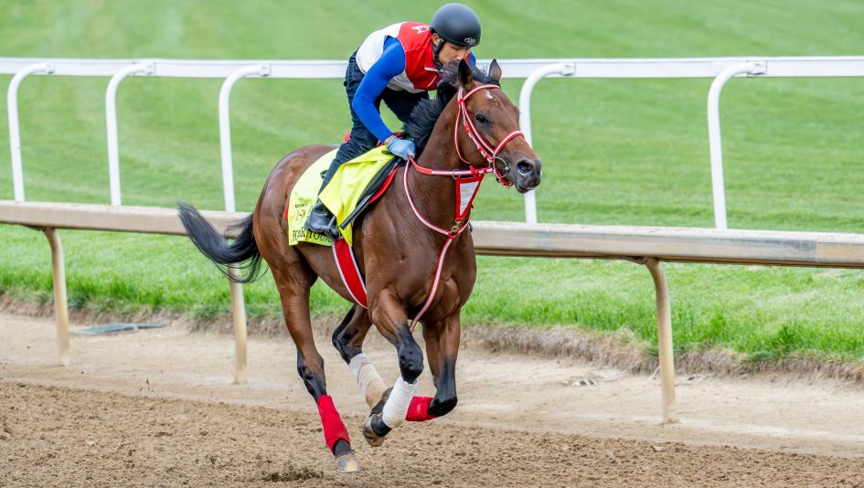 Forever Young, Longines Breeders’ Cup Classic, Del Mar, Churchill Downs, Kentucky Derby Presented by Woodford Reserve